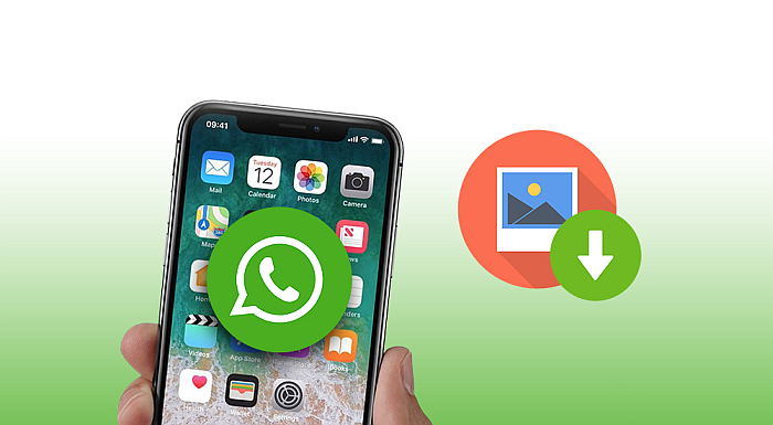 How To Save Photos From WhatsApp to Gallery Android