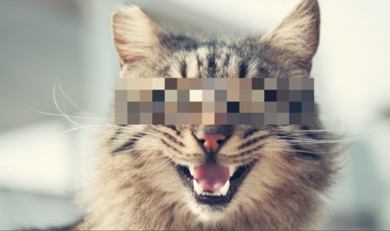 how to fix pixelated videos on android